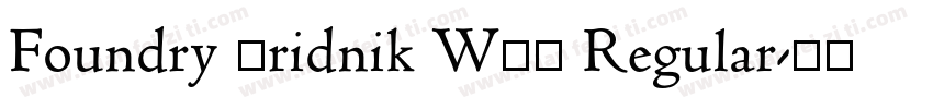 Foundry Gridnik W03 Regular字体转换